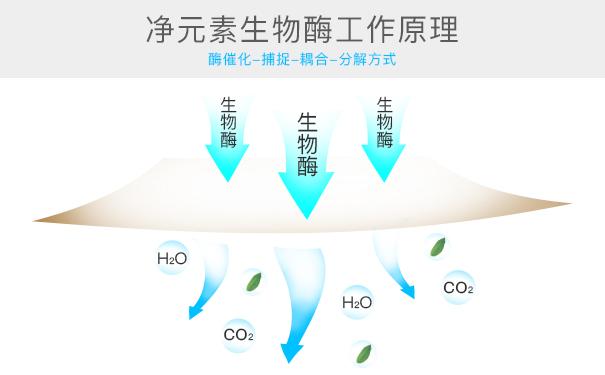 光觸媒、生物酶、空氣凈化器，哪家除甲醛公司效果好？