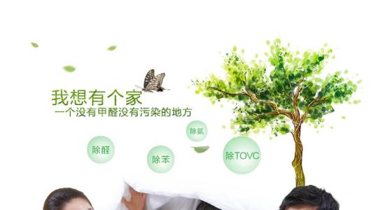 效果好、專(zhuān)業(yè)的光觸媒除甲醛產(chǎn)品有那些？